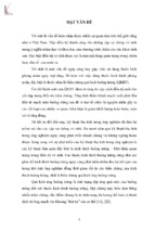 đặc điểm hội chứng quá kích buồng trứng nặng do phương pháp thụ tinh trong ống nghiệm và kết quả điều trị bệnh viện phụ sản trung uơng