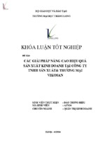 Các giải pháp nâng cao hiệu quả sản xuất kinh doanh tại công ty tnhh sản xuất & thương mại vikosan