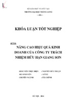 Nâng cao hiệu quả kinh doanh của công ty tnhh giang sơn