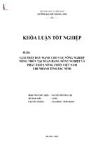 Giải pháp đẩy mạnh cho vay nông nghiệp nông thôn tại ngân hàng nông nghiệp và phát triển nông thôn việt nam   chi nhánh tỉnh bắc ninh