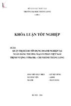 Quản trị rủi ro tín dụng doanh nghiệp tại ngân hàng thương mại cổ phần việt nam thịnh vượng (vpbank)   chi nhánh thăng long