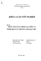 Phân tích tài chính tại công ty tnhh dịch vụ thương mại đại việt