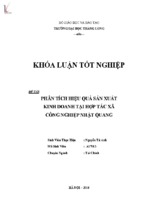 Phân tích hiệu quả sản xuất kinh doanh tại hợp tác xã công nghiệp nhật quang