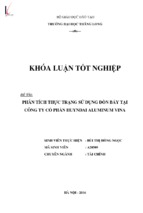 Phân tích thực trạng sử dụng đòn bẩy tại công ty cổ phần huyndai aluminum vina