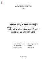 Phân tích tình hình tài chính tại công ty cổ phần kỷ nguyên việt