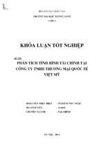 Phân tích tình hình tài chính tại công ty tnhh thương mại quốc tế việt mỹ