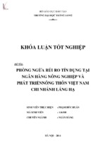 Phòng ngừa rủi ro tín dụng tại ngân hàng nông nghiệp và phát triển nông thôn việt nam chi nhánh láng hạ