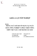 Phòng ngừa rủi ro tín dụng tại ngân hàng nông nghiệp và phát triển nông thôn việt nam   chi nhánh cầu giấy