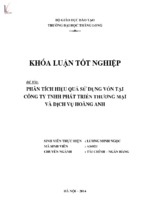 Phân tích hiệu quả sử dụng vốn tại công ty tnhh phát triển thương mại và dịch vụ hoàng anh