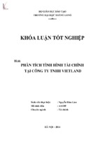 Phân tích tình hình tài chính tại công ty tnhh vietland