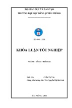 Hoàn thiện công tác kế toán doanh thu, chi phí và xác định kết quả kinh doanh tại công ty tnhh một thành viên nam triệu