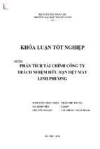 Phân tích tài chính công ty trách nhiệm hữu hạn dệt may linh phương