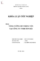 Tăng cường huy động vốn tại công ty tnhh sơn hải.