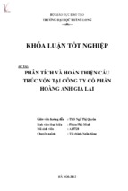 Phân tích và hoàn thiện cấu trúc vốn tại công ty cổ phần hoàng anh gia lai