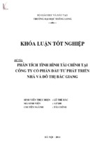 Phân tích tình hình tài chính tại công ty cổ phần đầu tư phát triển nhà và đô thị bắc giang