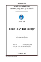 Hoàn thiện công tác kế toán vốn bằng tiền tại công ty cổ phần tư vấn đầu tư xây lắp điện quang linh