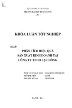 Phân tích hiệu quả sản xuất kinh doanh tại công ty tnhh lạc hồng