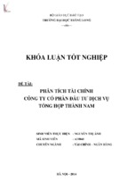 Phân tích tài chính công ty cổ phần đầu tư dịch vụ tổng hợp thành nam