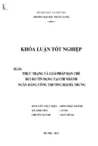 Thực trạng và giải pháp hạn chế rủi ro tín dụng tại chi nhành ngân hàng công thương hai bà trưng