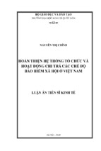 Hoàn thiện hệ thống tổ chức và hoạt động chi trả các chế độ bảo hiểm xã hội ở việt nam