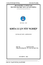 Hoàn thiện công tác kế toán doanh thu, chi phí và xác định kết quả kinh doanh tại công ty tnhh tohoku pioneer việt nam