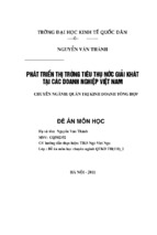 Luận văn quản trị kinh doanh đề án phát triển thị trường tiêu thụ nước giải khát tại các doanh nghiệp việt nam