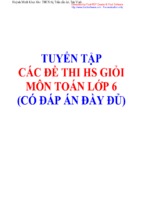 Top 60 đề thi học sinh giỏi toán lớp 6 có đáp án chọn lọc