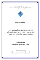 4tác động của enzyme alcalase đến hiệu quả thủy phân protein từ thịt đầu tôm sú (penaeus monodon)