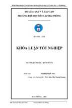 Hoàn thiện tổ chức kế toán vốn bằng tiền tại công ty cổ phần điện cơ hải phòng