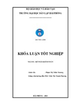 Hoàn thiện công tác kế toán doanh thu, chi phí và xác định kết quả kinh doanh tại công ty cổ phần đầu tư tân vũ minh