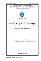 Hoàn thiện công tác kế toán nguyên vật liệu tại công ty cổ phần tân thế huynh