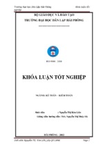 Hoàn thiện công tác kế toán doanh thu, chi phí và xác định kết quả kinh doanh tại công ty cổ phần ngân chí