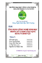 Sáng kiến kinh nghiệm ứng dụng công nghệ sinh học trong xử lí kim loại nặng bằng vi sinh vật