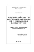 Nghiên cứu phân loại chi na rừng (kadsura juss.)   họ ngũ vị (schisadraceae blume) ở việt nam
