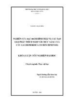 Nghiên cứu đặc điểm hình thái và cấu tạo giải phẫu thích nghi với chức năng của cây gấc (momordica cochinchinensis)