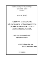 Nghiên cứu ảnh hưởng của môi trường dinh dưỡng đến khả năng tạo màng bc của chủng vi khuẩn acetobacter xylinum bhn2