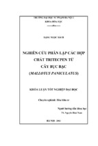 Nghiên cứu phân lập các hợp chất tritecpen từ cây bục bạc (mallotus paniculatus)