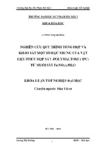 Nghiên cứu quy trình tổng hợp và khảo sát một số đặc trưng của vật liệu phức hợp sắt  polymaltose (ipc) từ muối sắt fe(no3)3.9h2o