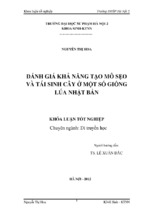 đánh giá khả năng sáng tạo mô sẹo và tái sinh cây ở một số giống lúa nhật bản