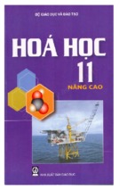 Hóa học 11 nâng cao (nxb giáo dục)   lê xuân trọng, 285 trang