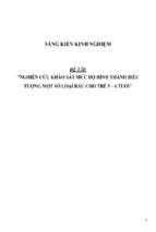 Sáng kiến kinh nghiệm skkn nghiên cứu khảo sát mức độ hình thành biểu tượng một số loại rau cho trẻ 5 – 6 tuổi