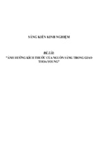 Sáng kiến kinh nghiệm skkn về ảnh hưởng kích thước của nguồn sáng trong giao thoa young