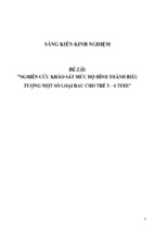 Sáng kiến kinh nghiệm skkn nghiên cứu khảo sát mức độ hình thành biểu tượng một số loại rau cho trẻ 5 – 6 tuổi