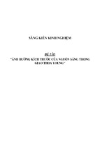 Sáng kiến kinh nghiệm skkn về ảnh hưởng kích thước của nguồn sáng trong giao thoa young