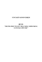 Sáng kiến kinh nghiệm skkn về phương pháp tổ chức hoạt động nhóm trong giảng dạy sinh học