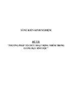 Sáng kiến kinh nghiệm skkn về phương pháp tổ chức hoạt động nhóm trong giảng dạy sinh học