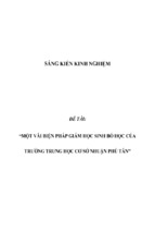 Sáng kiến kinh nghiệm skkn một vài biện pháp giảm học sinh bỏ học của trường trung học cơ sở nhuận phú tân