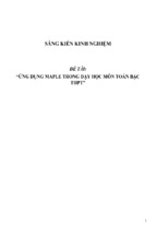 Sáng kiến kinh nghiệm skkn ứng dụng maple trong dạy học môn toán bậc thpt