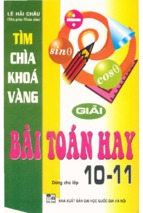 Tìm chìa khóa vàng giải bài toán hay 10 11 (nxb đại học quốc gia)   lê hải châu, 230 trang