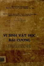 Vi sinh vật học đại cương  bài giảng soạn theo chương trình đã được bộ giáo dục và đào tạo ban hành theo quyết định số 283qđ   đh ngày 19051990